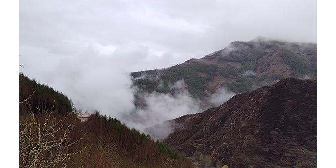 李月詩畫攝影：五臺山春色