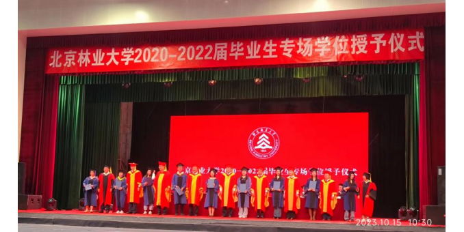 金色的夢想從這里起飛