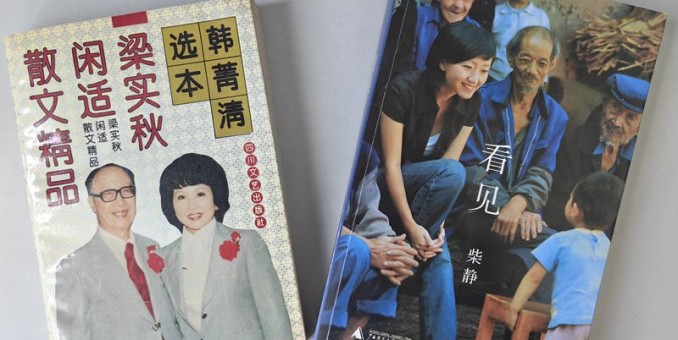 風雨客登門,古今石化人,任子臣,葉建華