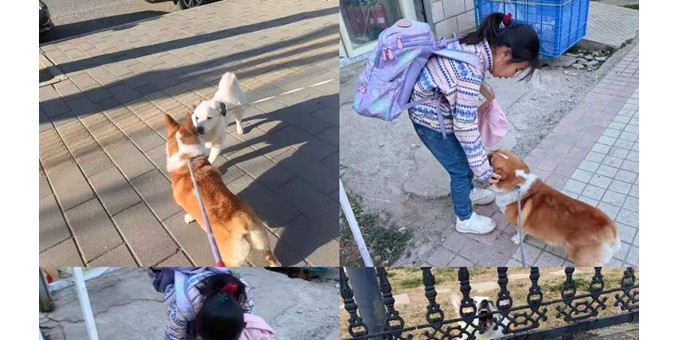 日暖風(fēng)清添畫(huà)意  青山碧水醉詩(shī)仙  --小區(qū)春景隨吟