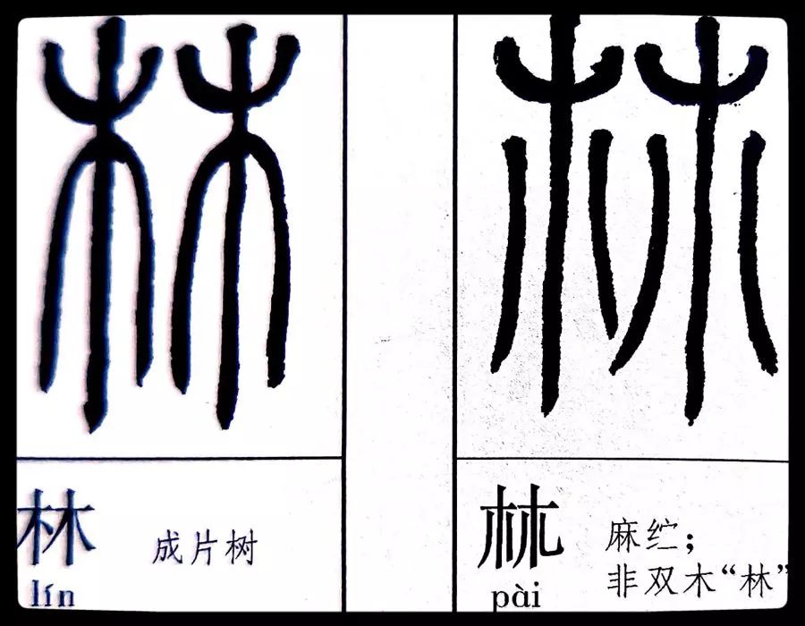 《劉云鶴篆刻附小篆辨似》一書出版問世