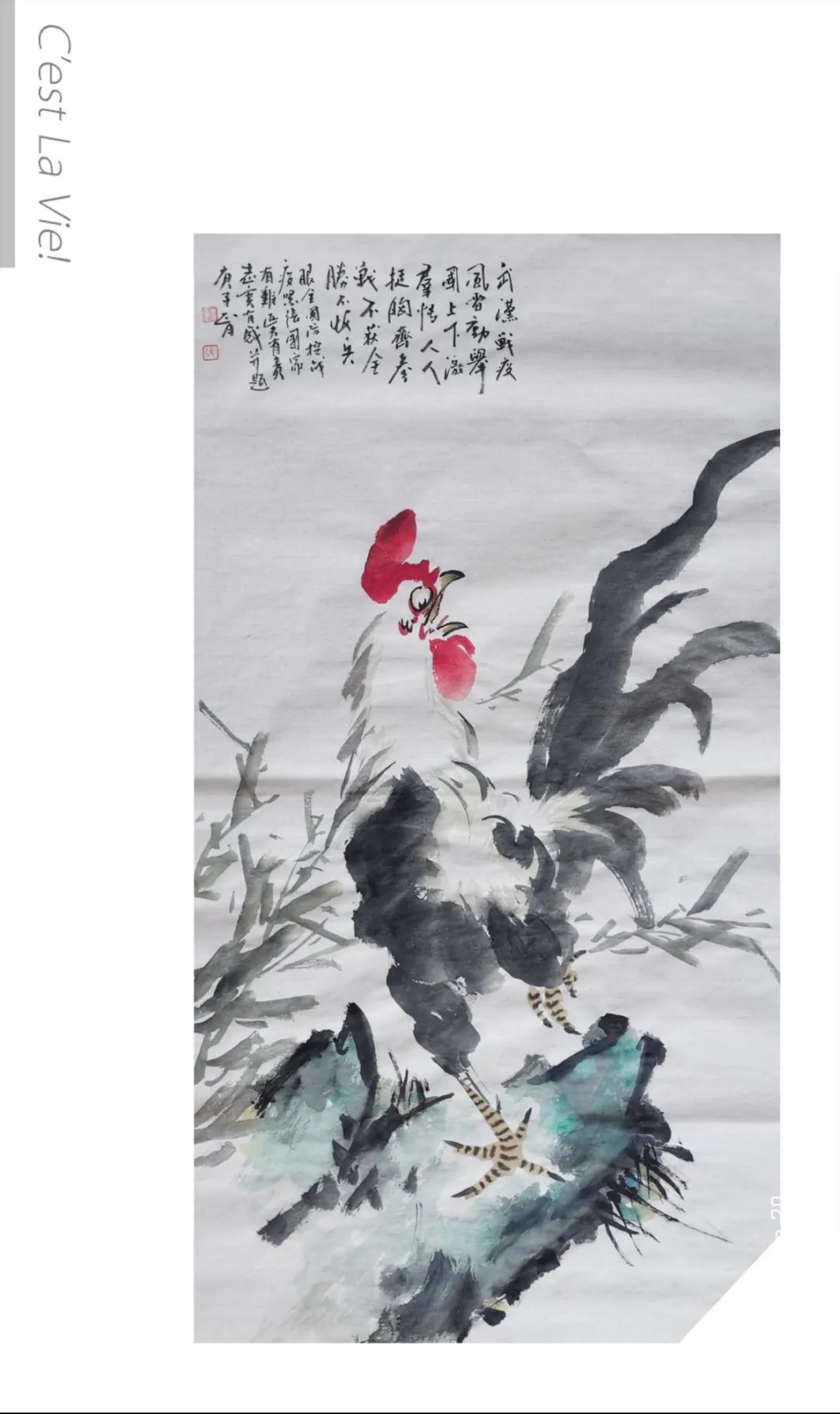 張志寬作品欣賞