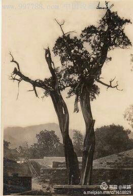 徐錫富作品欣賞